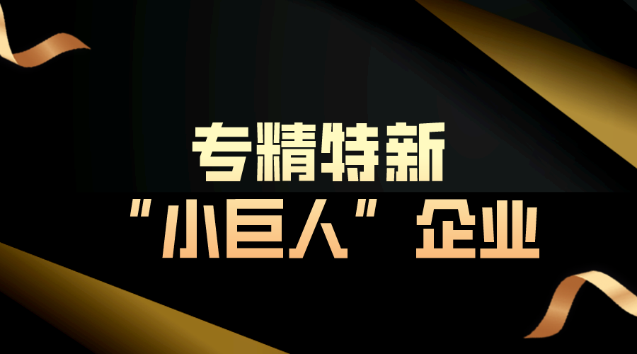 第六批專精特新“小巨人”企業(yè)培育和第三批專精特新“小巨人”企業(yè)復(fù)核