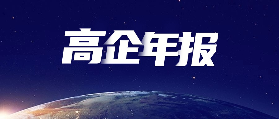 高新技術(shù)企業(yè)發(fā)展年報最新填報指南