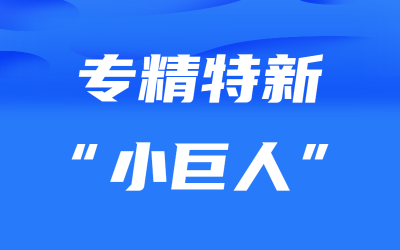 山東省工業(yè)和信息化廳 山東省財(cái)政廳關(guān)于組織開展2024年重點(diǎn)“小巨人”企業(yè)遴選推薦工作的通知